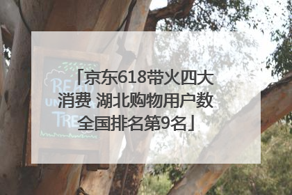 京东618带火四大消费 湖北购物用户数全国排名第9名